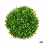 Plante décorative Ibergarden 552 Plastique Ballon 17 x 13,5 x 17 cm (12 Unités): Plus de 300.000 produits de grandes marques en 