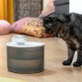Fontaine pour Chats Rechargeable avec Détecteur Refopet InnovaGoods: Plus de 300.000 produits de grandes marques en vente direct