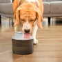 Fontaine pour Chats Rechargeable avec Détecteur Refopet InnovaGoods: Plus de 300.000 produits de grandes marques en vente direct