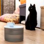 Fontaine pour Chats Rechargeable avec Détecteur Refopet InnovaGoods: Plus de 300.000 produits de grandes marques en vente direct