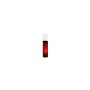 Amélioration de l'Orgasme Nuei Cosmetics of the Night Thor 50 ml: Plus de 300.000 produits de grandes marques en vente directe à
