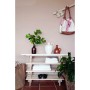 Range-chaussures Astigarraga Evolution Naturel Pin Empilable 30 x 25,9 x 75 cm: Plus de 300.000 produits de grandes marques en v