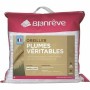 Oreiller Blanreve LOPLUHP006060 Blanc 60 x 60 cm (2 Unités): Plus de 300.000 produits de grandes marques en vente directe à prix