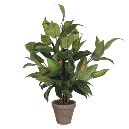 Plante décorative Mica Decorations Hosta Vert PVC (15,5 x 65 cm): Plus de 300.000 produits de grandes marques en vente directe à