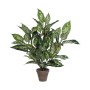 Plante décorative Mica Decorations Dieffenbachia Dieffenbachia Vert PVC (15,7 x 70 cm): Plus de 300.000 produits de grandes marq