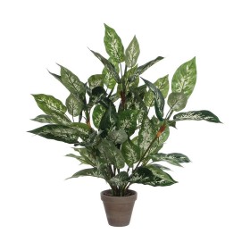 Plante décorative Mica Decorations Dieffenbachia Dieffenbachia Vert PVC (15,7 x 70 cm): Plus de 300.000 produits de grandes marq