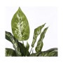 Plante décorative Mica Decorations Dieffenbachia Dieffenbachia Vert PVC (15,7 x 70 cm): Plus de 300.000 produits de grandes marq