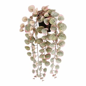 Plante décorative Mica Decorations Ceropegia Woodii 10 x 46 x 12 cm Artificielle A accrocher: Plus de 300.000 produits de grande