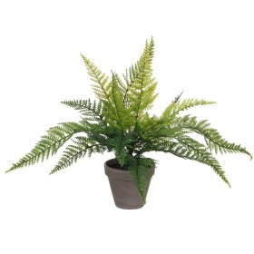 Plante décorative Mica Decorations 40 x 11,5 cm Céramique PVC Fougère: Plus de 300.000 produits de grandes marques en vente dire
