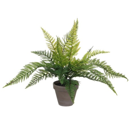 Plante décorative Mica Decorations 40 x 11,5 cm Céramique PVC Fougère: Plus de 300.000 produits de grandes marques en vente dire