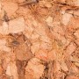 Substrat Trixie 4,5 L Coco: Plus de 300.000 produits de grandes marques en vente directe à prix usine sur cadeaufou.com. Label b
