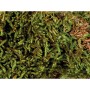 Substrat Trixie 200 gr Mousse: Plus de 300.000 produits de grandes marques en vente directe à prix usine sur cadeaufou.com. Labe