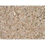 Substrat Trixie 5 L Vermiculite: Plus de 300.000 produits de grandes marques en vente directe à prix usine sur cadeaufou.com. La