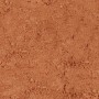Arena Trixie 5 kg: Plus de 300.000 produits de grandes marques en vente directe à prix usine sur cadeaufou.com. Label boutique s