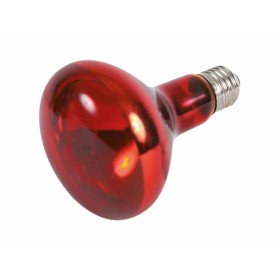 Ampoule infrarouge Trixie: Plus de 300.000 produits de grandes marques en vente directe à prix usine sur cadeaufou.com. Label bo