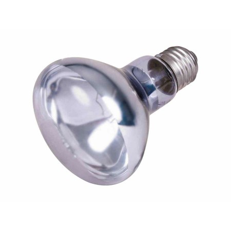 Ampoule infrarouge Trixie: Plus de 300.000 produits de grandes marques en vente directe à prix usine sur cadeaufou.com. Label bo