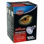 Ampoule infrarouge Trixie: Plus de 300.000 produits de grandes marques en vente directe à prix usine sur cadeaufou.com. Label bo