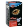Ampoule infrarouge Trixie: Plus de 300.000 produits de grandes marques en vente directe à prix usine sur cadeaufou.com. Label bo