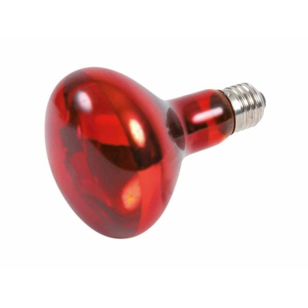 Ampoule infrarouge Trixie: Plus de 300.000 produits de grandes marques en vente directe à prix usine sur cadeaufou.com. Label bo