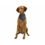 Écharpe Trixie Chien: Plus de 300.000 produits de grandes marques en vente directe à prix usine sur cadeaufou.com. Label boutiqu