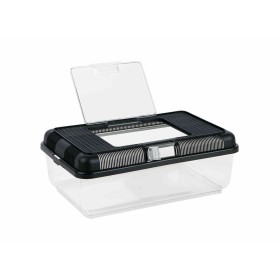 Convoyeur Trixie Plastique 38 × 14 × 24 cm: Plus de 300.000 produits de grandes marques en vente directe à prix usine sur cadeau