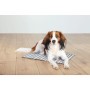 Tapis pour chien Trixie Blanc Gris Polyester 65 × 50 cm Rafraîchissant: Plus de 300.000 produits de grandes marques en vente dir