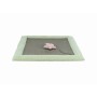 Grattoir pour Chats Trixie Gris Menthe 47 x 47 cm: Plus de 300.000 produits de grandes marques en vente directe à prix usine sur