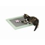 Grattoir pour Chats Trixie Gris Menthe 47 x 47 cm: Plus de 300.000 produits de grandes marques en vente directe à prix usine sur