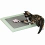 Grattoir pour Chats Trixie Gris Menthe 47 x 47 cm: Plus de 300.000 produits de grandes marques en vente directe à prix usine sur