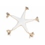 Jouet pour chien Trixie Polyester Coton Étoile de mer 32 cm: Plus de 300.000 produits de grandes marques en vente directe à prix