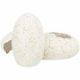 Caverne pour reptiles Trixie Blanc: Plus de 300.000 produits de grandes marques en vente directe à prix usine sur cadeaufou.com.