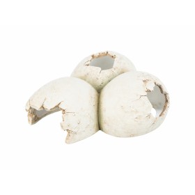 Caverne pour reptiles Trixie Blanc: Plus de 300.000 produits de grandes marques en vente directe à prix usine sur cadeaufou.com.