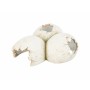 Caverne pour reptiles Trixie Blanc: Plus de 300.000 produits de grandes marques en vente directe à prix usine sur cadeaufou.com.