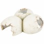 Caverne pour reptiles Trixie Blanc: Plus de 300.000 produits de grandes marques en vente directe à prix usine sur cadeaufou.com.