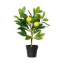 Plante décorative Everlands Plastique Citronnier 17 x 24 x 43 cm: Plus de 300.000 produits de grandes marques en vente directe à