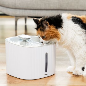 Fontaine pour Animaux de Compagnie Drinkatt InnovaGoods: Plus de 300.000 produits de grandes marques en vente directe à prix usi