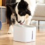 Fontaine pour Animaux de Compagnie Drinkatt InnovaGoods: Plus de 300.000 produits de grandes marques en vente directe à prix usi