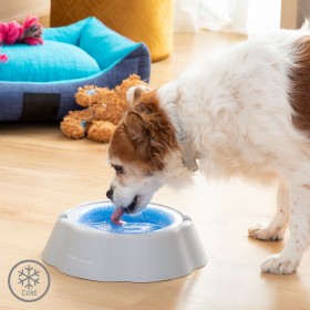 Gamelle Rafraîchissante pour Animaux de Compagnie Freshty InnovaGoods: Plus de 300.000 produits de grandes marques en vente dire