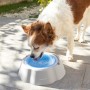 Gamelle Rafraîchissante pour Animaux de Compagnie Freshty InnovaGoods: Plus de 300.000 produits de grandes marques en vente dire