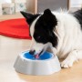 Gamelle Rafraîchissante pour Animaux de Compagnie Freshty InnovaGoods: Plus de 300.000 produits de grandes marques en vente dire
