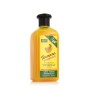 Shampooing nourrissant Xpel Banana (400 ml): Plus de 300.000 produits de grandes marques en vente directe à prix usine sur cadea