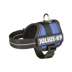 Harnais pour Chien Julius K9 Power Bleu 1 Baby 1 (XS): Plus de 300.000 produits de grandes marques en vente directe à prix usine
