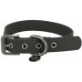 Collier pour Chien Trixie CityStyle Noir M 35-42 cm: Plus de 300.000 produits de grandes marques en vente directe à prix usine s
