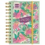 Agenda Finocam 8º SVH Tropic Vert Multicouleur 1/8 12 x 16,4 cm 2024-2025: Plus de 300.000 produits de grandes marques en vente 