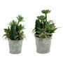 Plante décorative Ibergarden XD18-1182A-B Plastique Ciment 15 x 24 x 15 cm (12 Unités): Plus de 300.000 produits de grandes marq