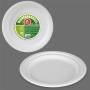 Service de vaisselle Best Products Green Canne à sucre Ø 25 cm Biodégradable Produits à usage unique 25 Unités: Plus de 300.000 