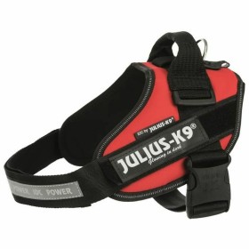 Harnais pour Chien Julius K9 IDC Rouge M/L: Plus de 300.000 produits de grandes marques en vente directe à prix usine sur cadeau