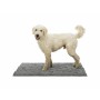Tapis pour chien Trixie Gris 100 × 70 CM Absorbant: Plus de 300.000 produits de grandes marques en vente directe à prix usine su