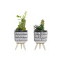 Plante décorative DKD Home Decor Céramique Noir Polyéthylène Blanc Vert (7 x 7 x 19 cm) (2 Unités): Plus de 300.000 produits de 