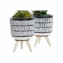 Plante décorative DKD Home Decor Céramique Noir Polyéthylène Blanc Vert (7 x 7 x 19 cm) (2 Unités): Plus de 300.000 produits de 